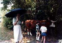 1978 07 01 08 Eno Park Folk Festival.jpg